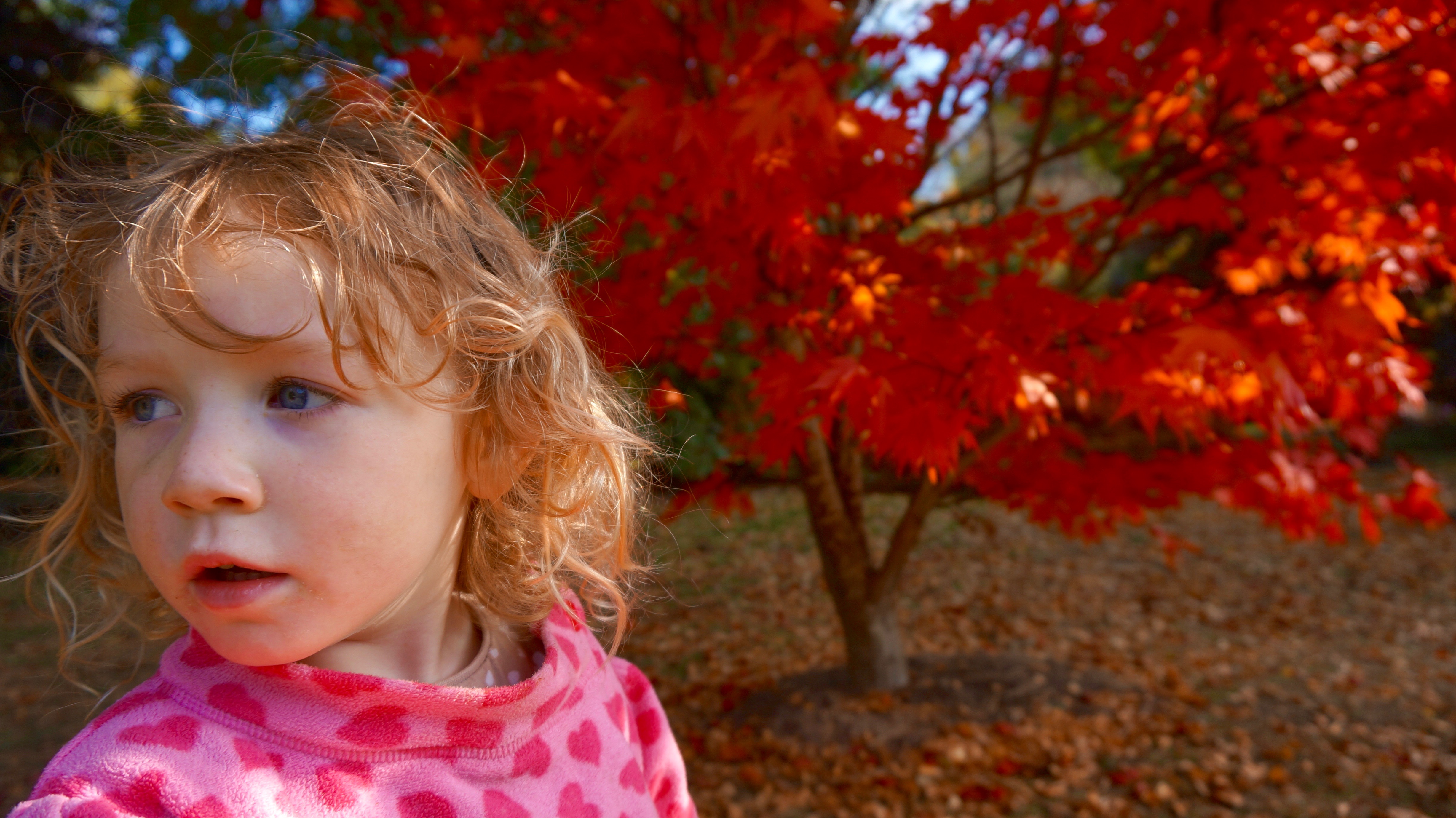 image of child in Autumn when cough remedies are needed